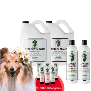 Aanbieding Medium | Gratis Verzending